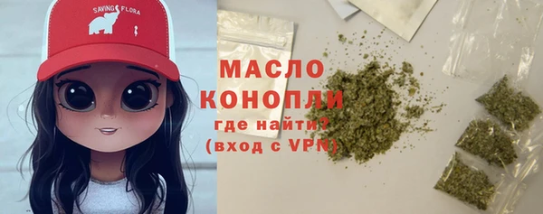 крисы Краснослободск