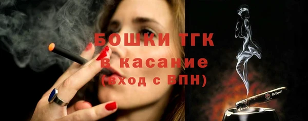 крисы Краснослободск