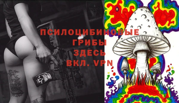 крисы Краснослободск