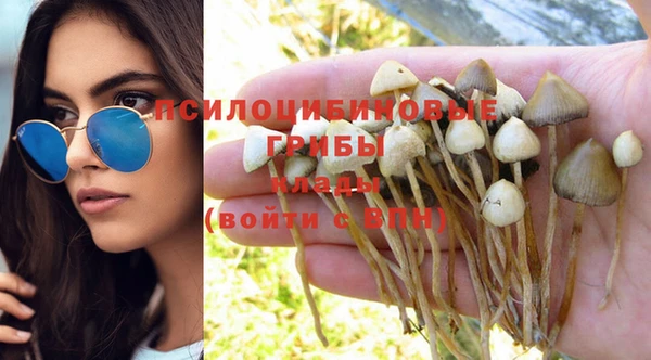 крисы Краснослободск