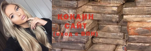 крисы Краснослободск