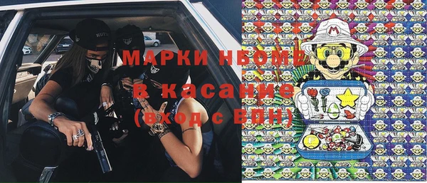 крисы Краснослободск