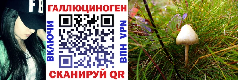 Псилоцибиновые грибы GOLDEN TEACHER  Купить закладки  Тейково 